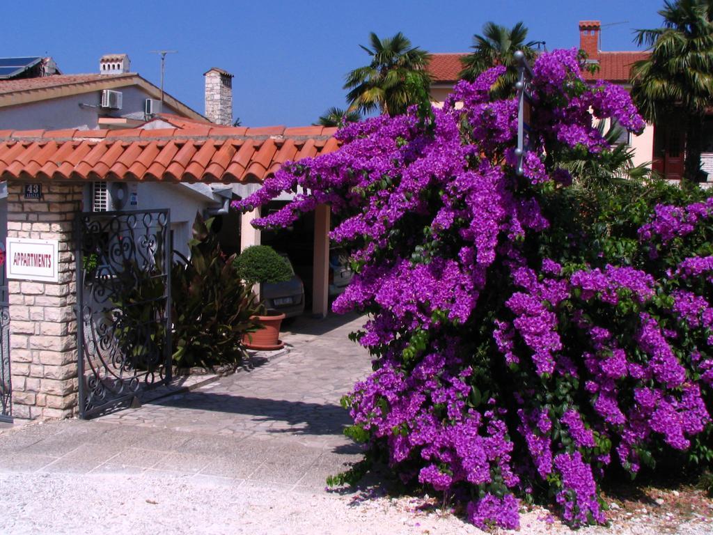 Apartments Nela Porec Exterior photo